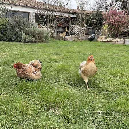 2 Pieces Mezza Sur - Lr000-004 * Dompierre-sur-Mer